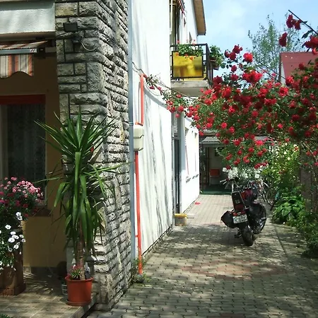 Otis Vendeghaz * Siófok