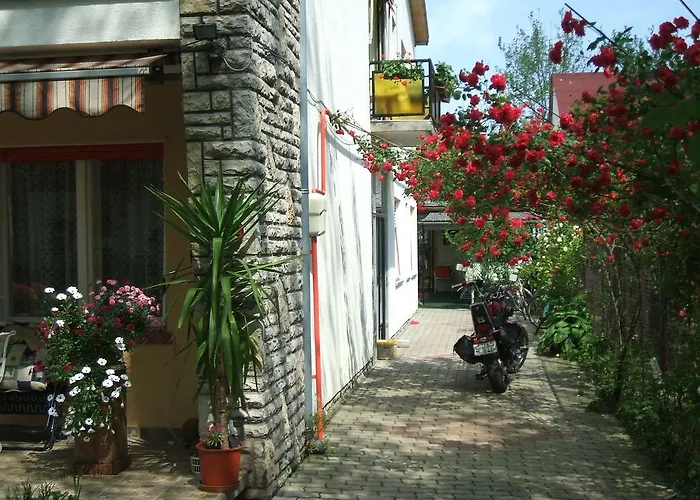 Otis Vendeghaz * Siofok